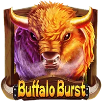 Buffalo Burst